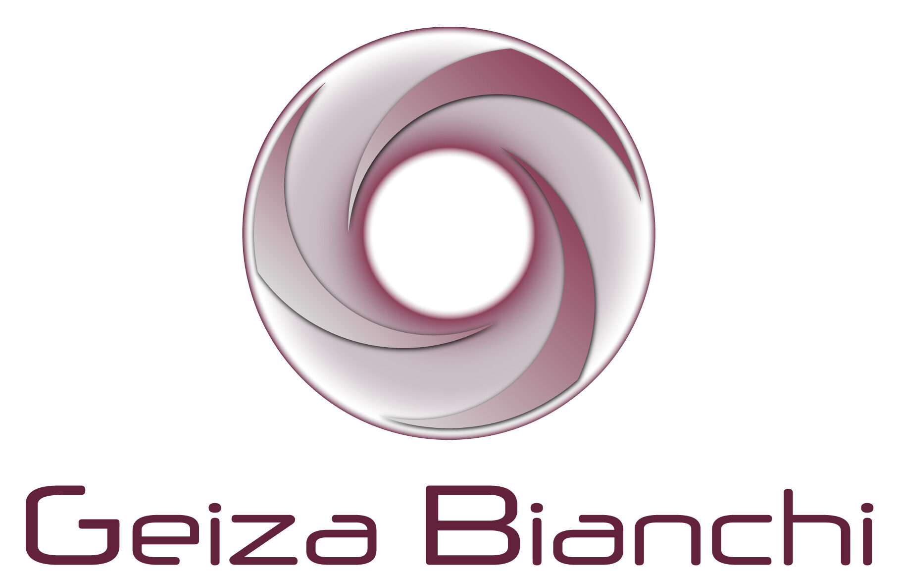 Professional portfolio